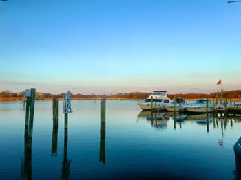 Sailboats moored in harbor against clear blue sky