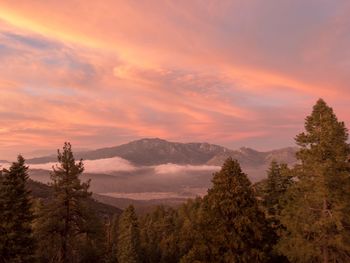 Scenic view of landscape against sky during sunset