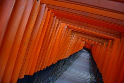 Torii gates at fushimi inari