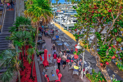 High angle view of people walking on palm tree