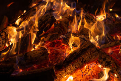 Hot fireplace full of wood and fire burning, closeup