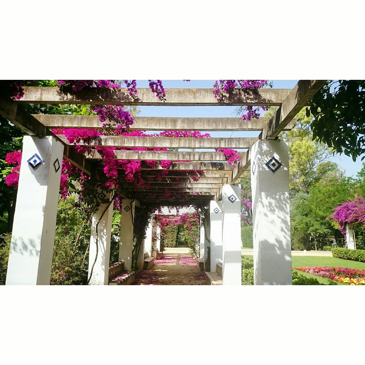 built structure, architecture, tree, transfer print, low angle view, flower, clear sky, building exterior, religion, place of worship, art, art and craft, creativity, auto post production filter, day, spirituality, growth, no people, plant, outdoors