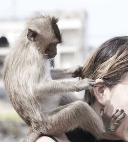 Side view of young monkey holding hair of woman while sitting on her shoulder