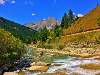 Scenic view of river amidst trees against sky