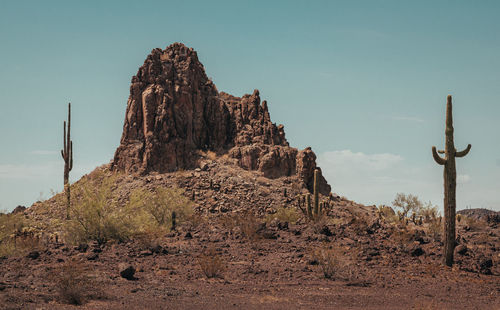 Wild west scene out of arizona with saguaros and rocks