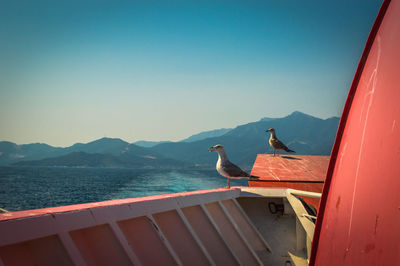 Man on boat in sea against clear sky