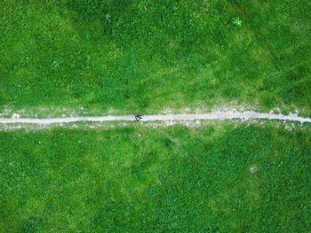 Full frame shot of green field