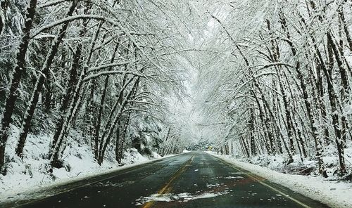 Road amidst bare trees during winter