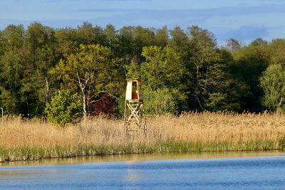 Scenic view of trees on field by lake against sky