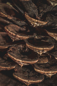 Full frame shot of dried fruits