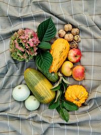 High angle view of fruits on plant