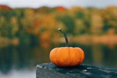 Close-up of pumpkin on table