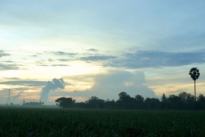 Scenic view of field against sky during sunset