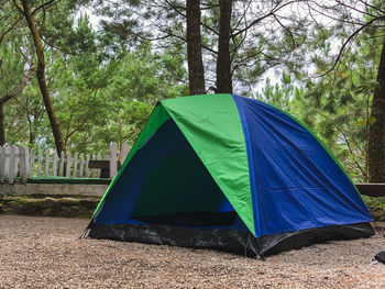 A tent that is under a tree in the forest