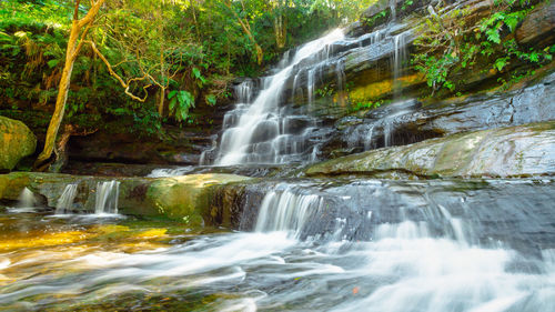 Scenic view of waterfall in forest