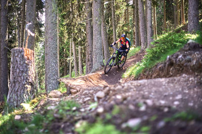 Man riding bicycle in forest