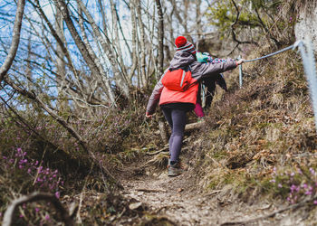 Rear view of woman walking in forest