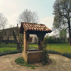 Trees in park