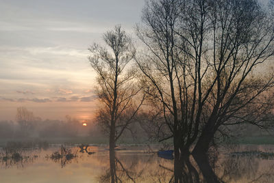 Bare trees by lake against sky during sunset