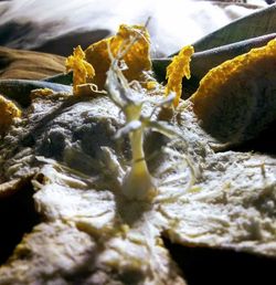 Close-up of yellow crab in sea