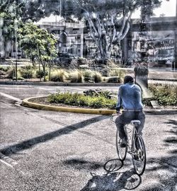 Rear view of man riding bicycle on road in city