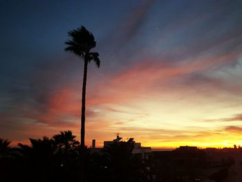 Silhouette palm trees against dramatic sky during sunset