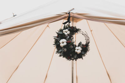 Low angle view of flowering plant hanging from ceiling