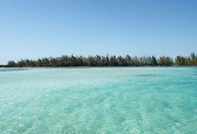 Scenic view of sea against clear blue sky