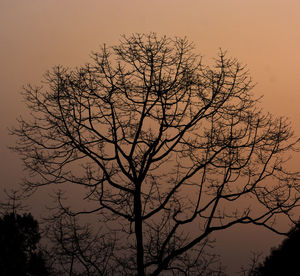 Silhouette tree against sky at sunset