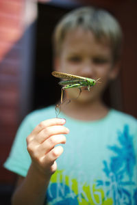 Midsection of boy holding grasshopper 