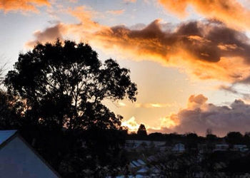 Silhouette of trees against cloudy sky at sunset