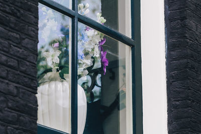 Close-up of flowers window
