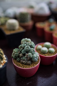 Close-up of fruits on table