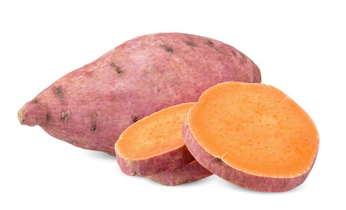 Close-up of orange fruit against white background