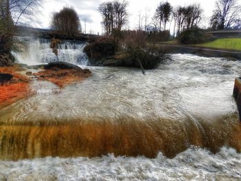 Close-up of wet tree against sky