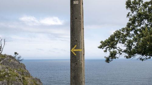 Close-up of tree by sea against sky