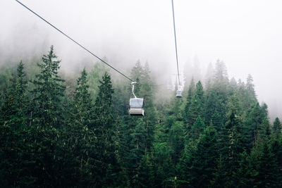Overhead cable cars in forest during foggy weather