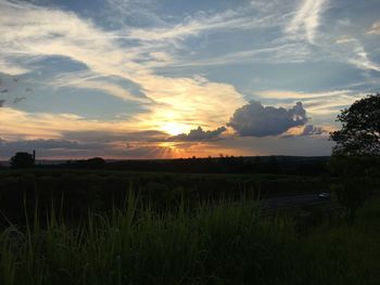 Scenic view of field against sky during sunset