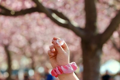 Close-up of cropped woman holding flower