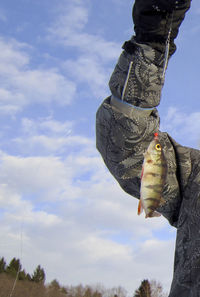 Cropped hand of person holding dead fish in fishing line against sky