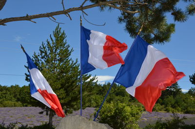 Low angle view of flag flags against blue sky