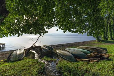 Scenic view of lake seen through trees