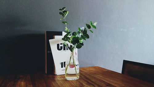 Potted plant on table at home