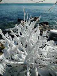 Close-up of white water