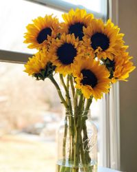 Close-up of yellow flowers in vase in window