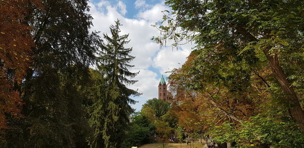 Low angle view of trees against sky during autumn