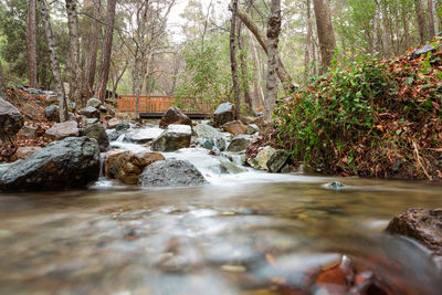 Stream flowing through rocks in forest