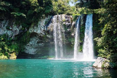 Scenic view of waterfall in forest