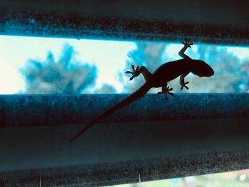 Low angle view of water tank in aquarium