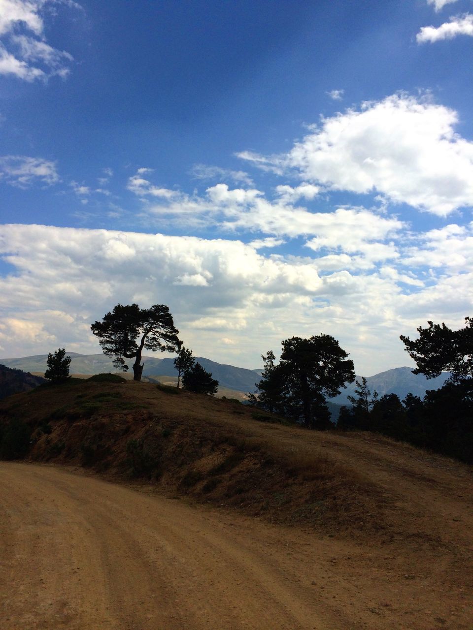 tree, sky, tranquility, tranquil scene, landscape, scenics, cloud - sky, nature, beauty in nature, cloud, non-urban scene, field, blue, remote, day, dirt road, road, growth, outdoors, solitude